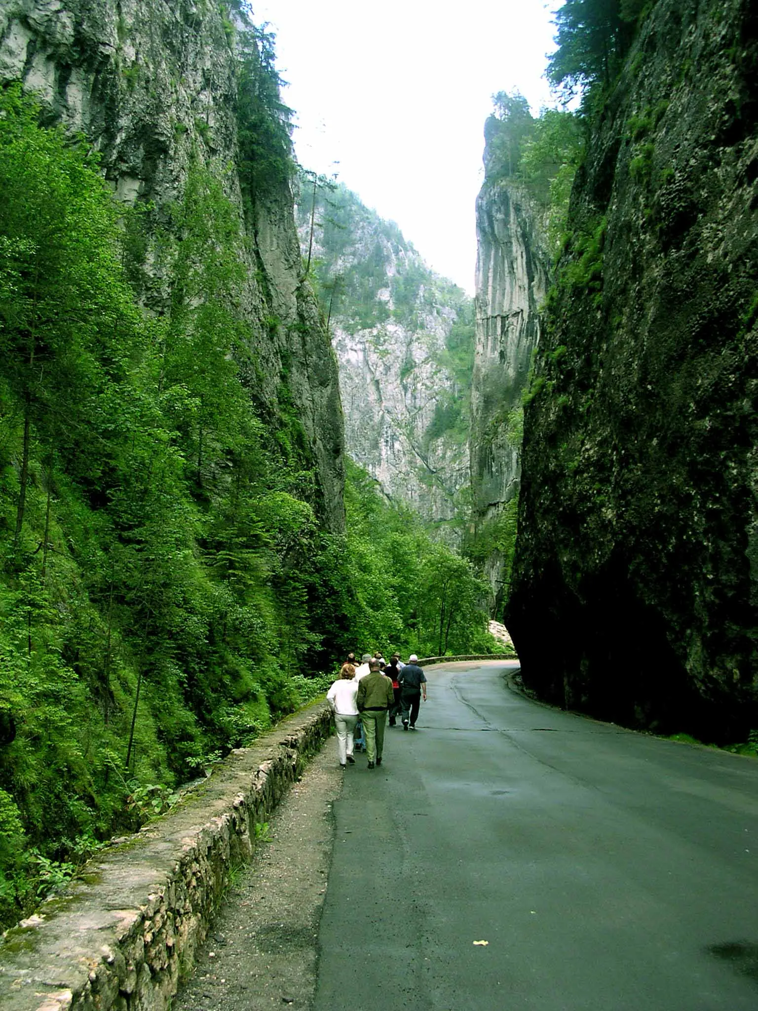 Fotografia 2 din 3, Cheile Bicazului (Parcul Național Cheile Bicazului – Hășmaș)