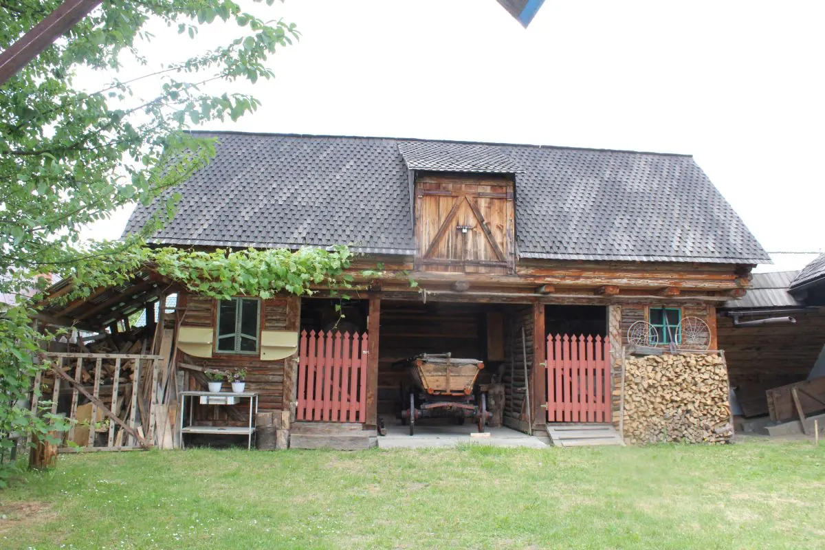 Photo 2 of 4, Victor Tofan Ethnographic Collection, Tazlău