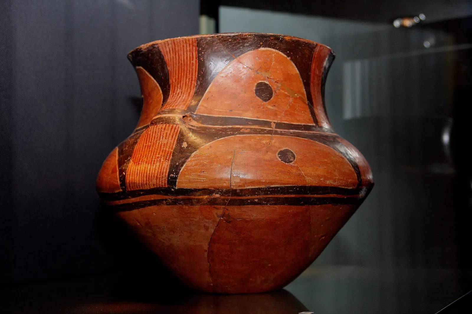 Fotografia 4 din 4, Muzeul de Artă Eneolitică Cucuteni „Gheorghe Dumitroaia” Piatra-Neamț