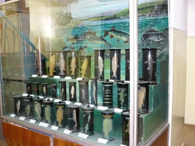 Photo 3 of 4, Natural Sciences Museum Piatra Neamț