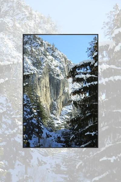 Winter Season in Cheile Sugaului