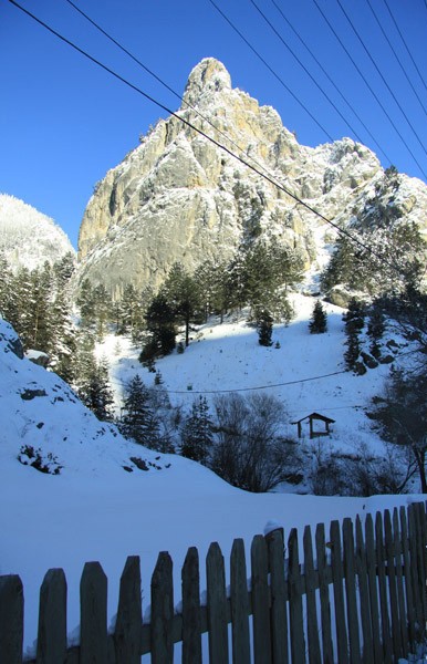 Winter Season in Cheile Sugaului