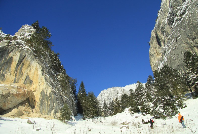 Winter Season in Cheile Sugaului