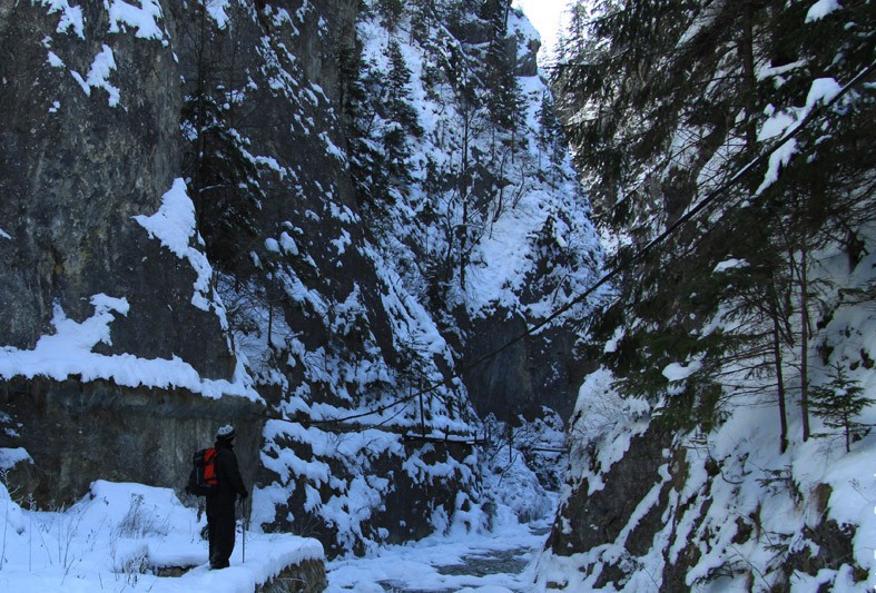 Winter Season in Cheile Sugaului