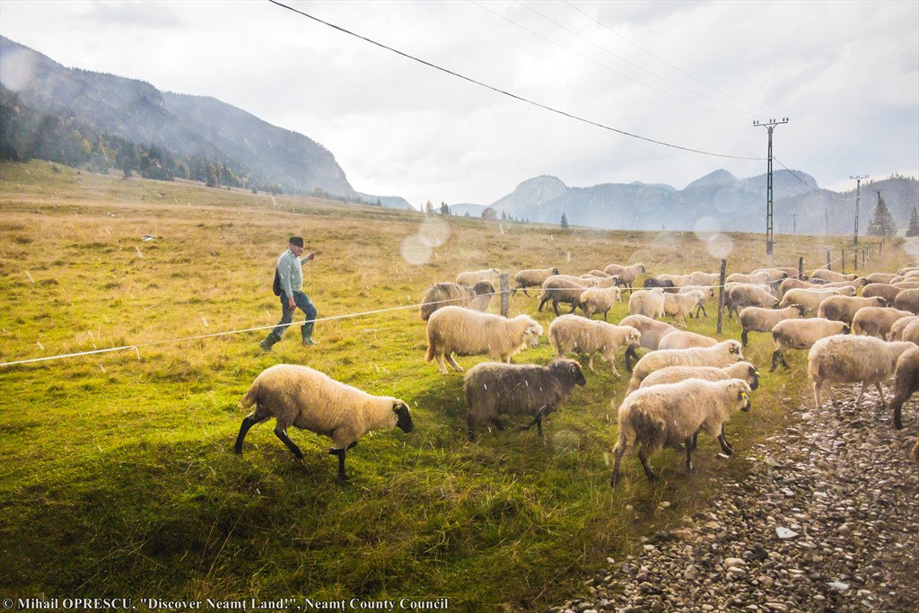 Trei Fântâni Mountain Village – Photography event – photo 6