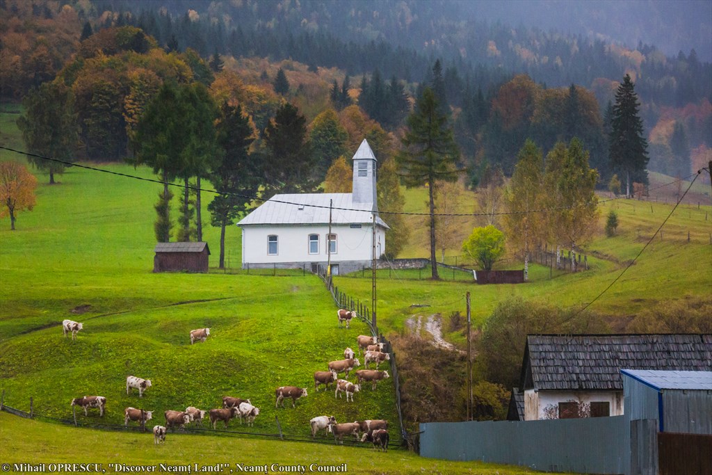 Trei Fântâni Mountain Village – Photography event – photo 7