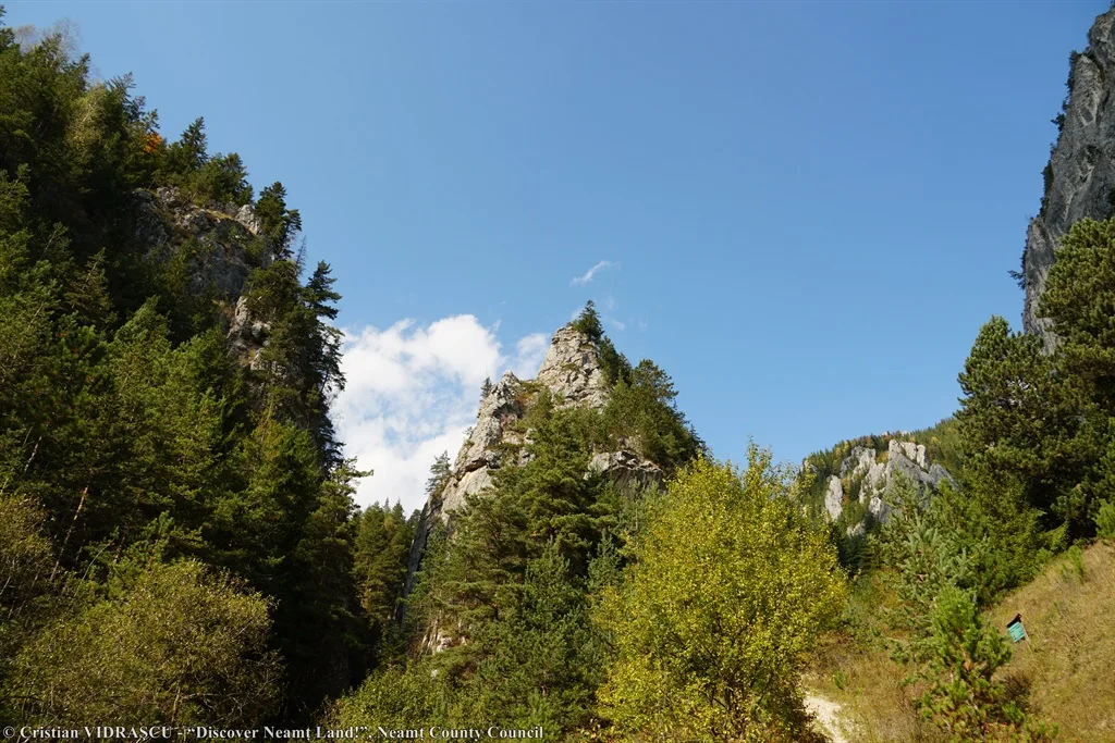 Șugău Gorges – fotografia 2