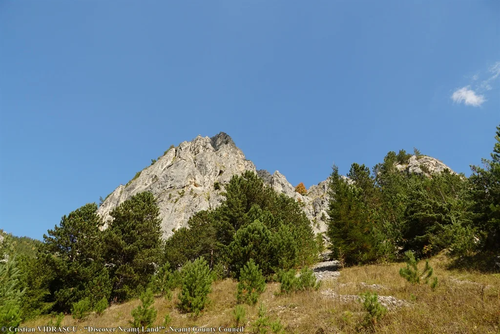 Șugău Gorges – fotografia 3