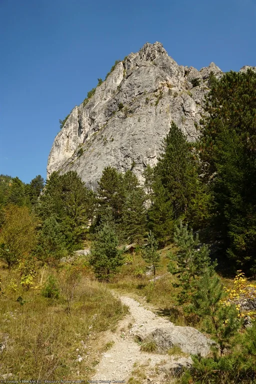 Șugău Gorges – fotografia 11