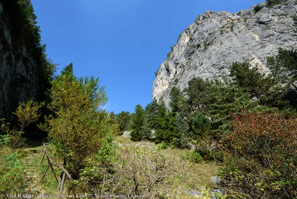 Șugău Gorges – fotografia 9