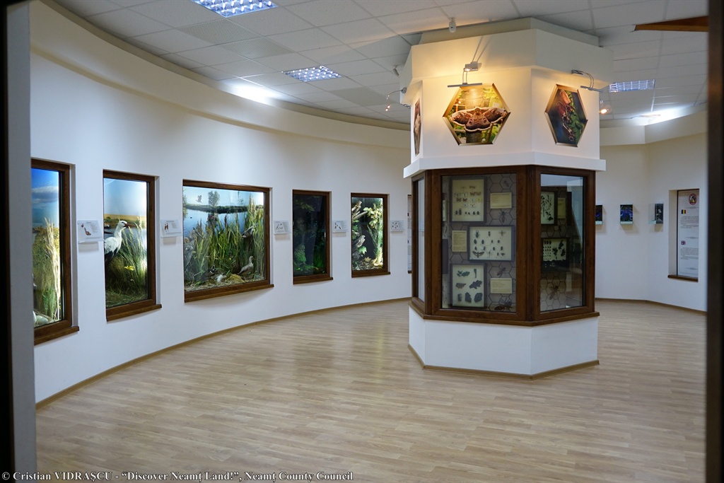 Nature Sciences Museum Roman – photo 4