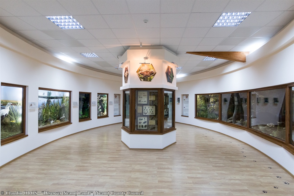 Nature Sciences Museum Roman – photo 8