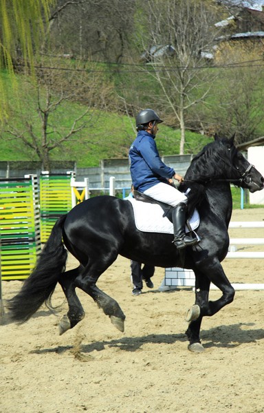 Equestrian Complex Piatra Neamt 2010