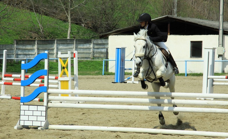 Equestrian Complex Piatra Neamt 2010