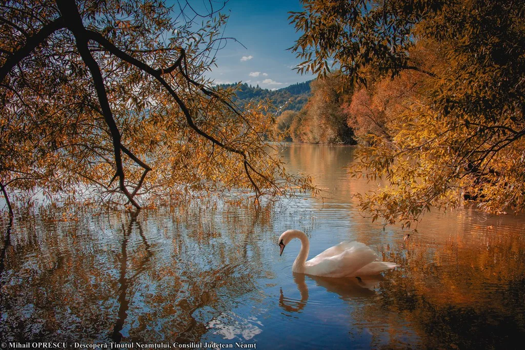 Neamț’s exquisite taste! – photo 1