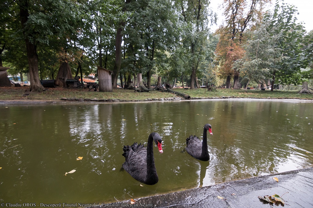 Discover Roman town! – fotografia 8