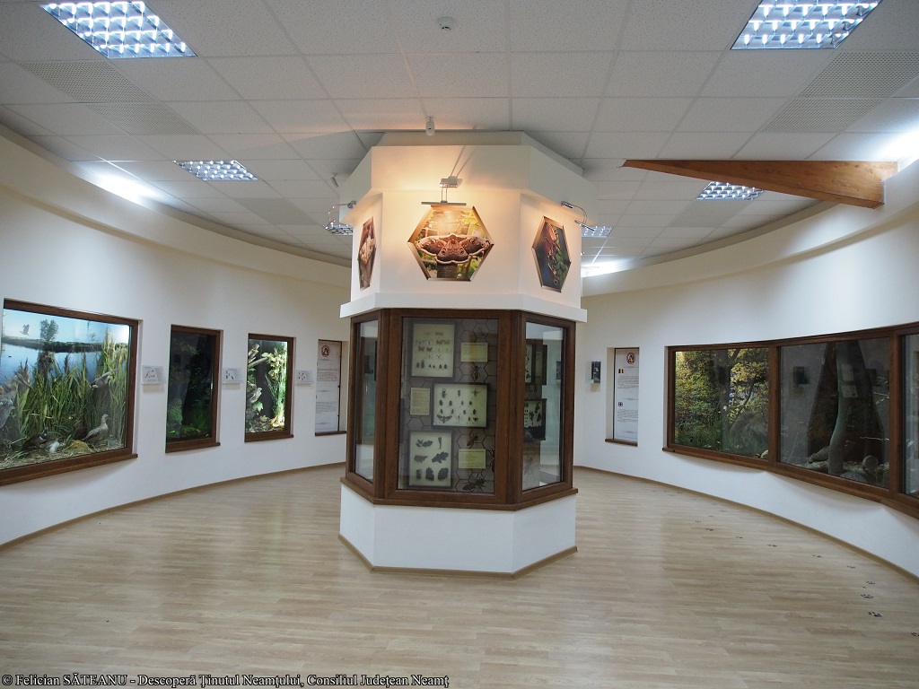 Discover Roman town! – fotografia 17