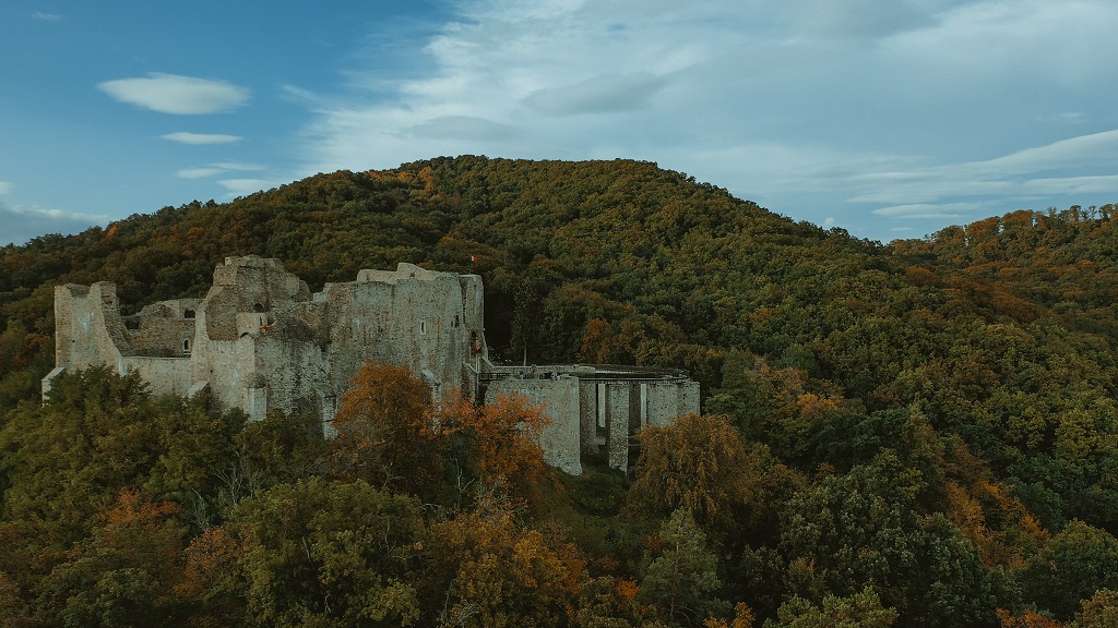 “Trip to Romania” came to Neamț – photo 12