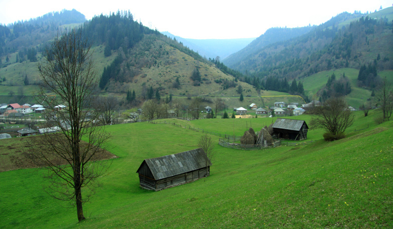 Hiking on Asau Peak near Damuc, Neamt County