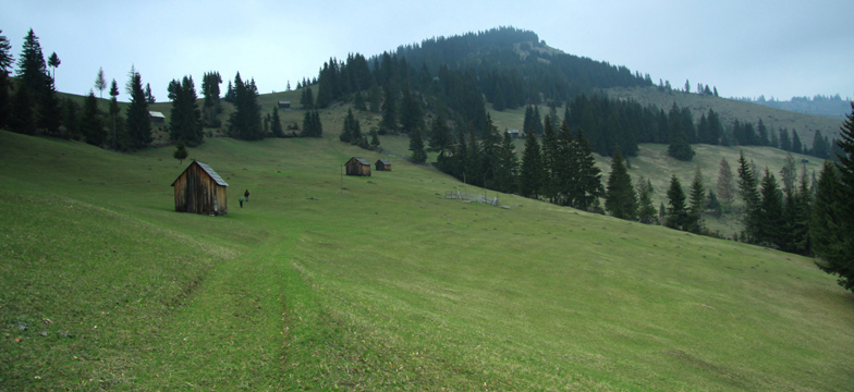 Hiking on Asau Peak near Damuc, Neamt County