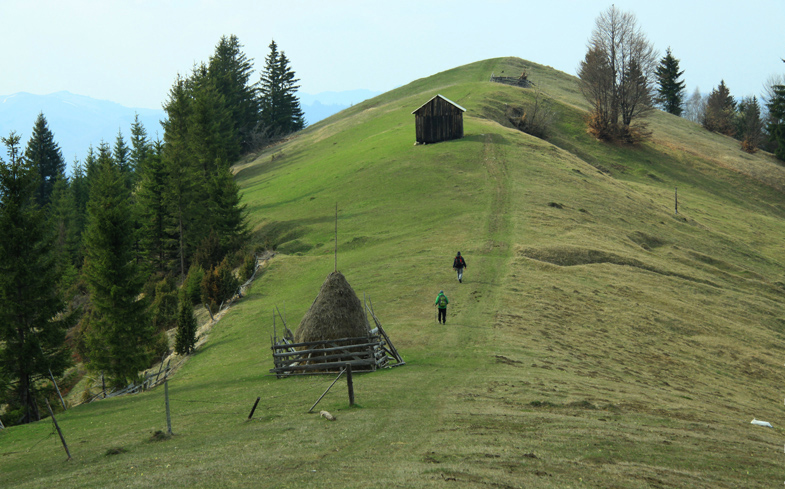 Hiking on Asau Peak near Damuc, Neamt County