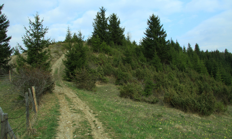 Hiking on Asau Peak near Damuc, Neamt County