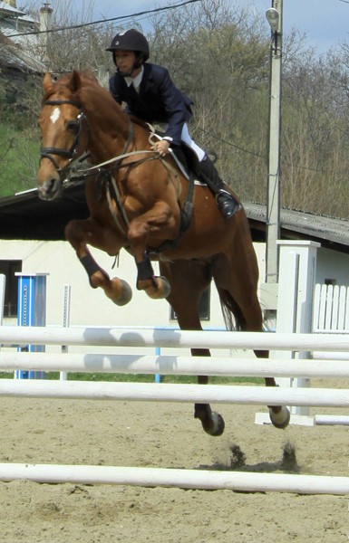 Equestrian Complex Piatra Neamt 2010