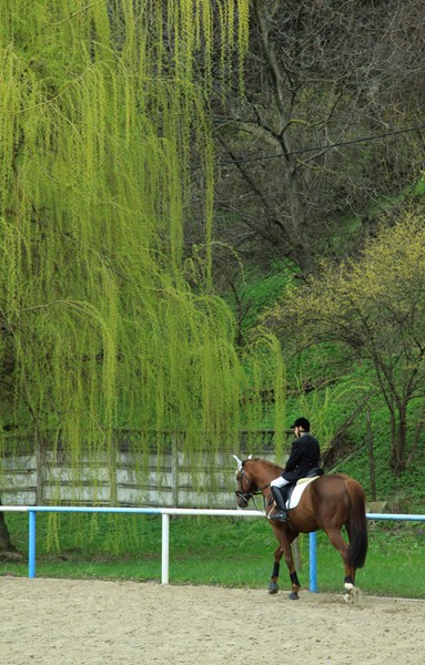 Equestrian Complex Piatra Neamt 2010