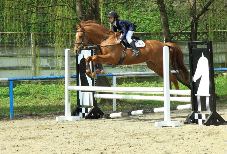 Equestrian Complex Piatra Neamt 2010
