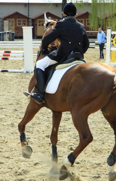 Equestrian Complex Piatra Neamt 2010