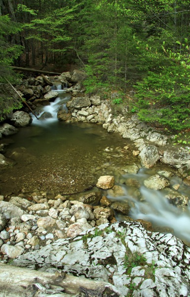 Waterfalls near the Stone Piatra Altarului - Cheile Bicazului