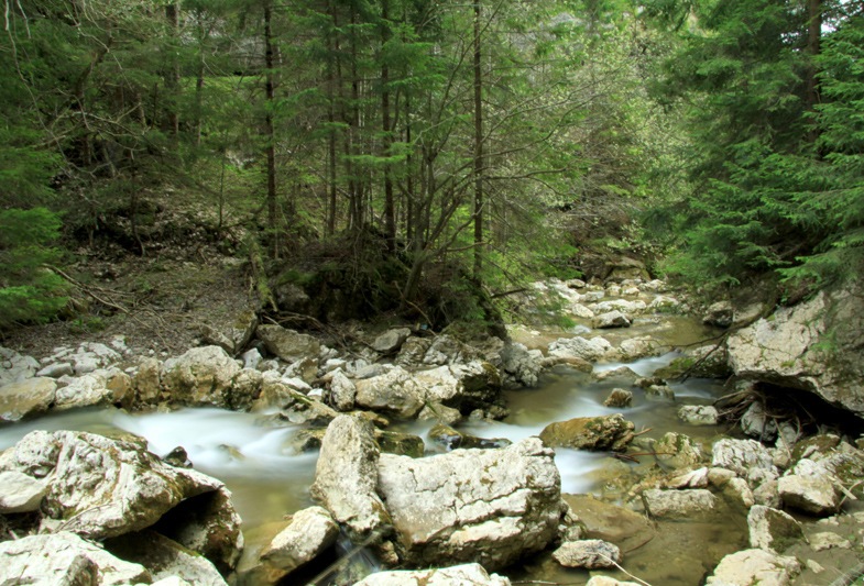 Waterfalls near the Stone Piatra Altarului - Cheile Bicazului