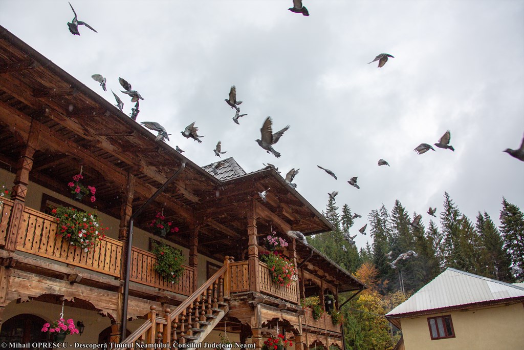 A new opportunity for Neamț County to be promoted beyond the country’s borders – photo 4