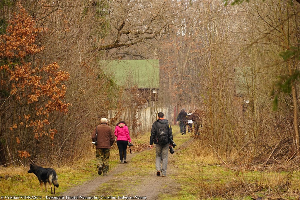 A new opportunity for Neamț County to be promoted beyond the country’s borders – photo 44