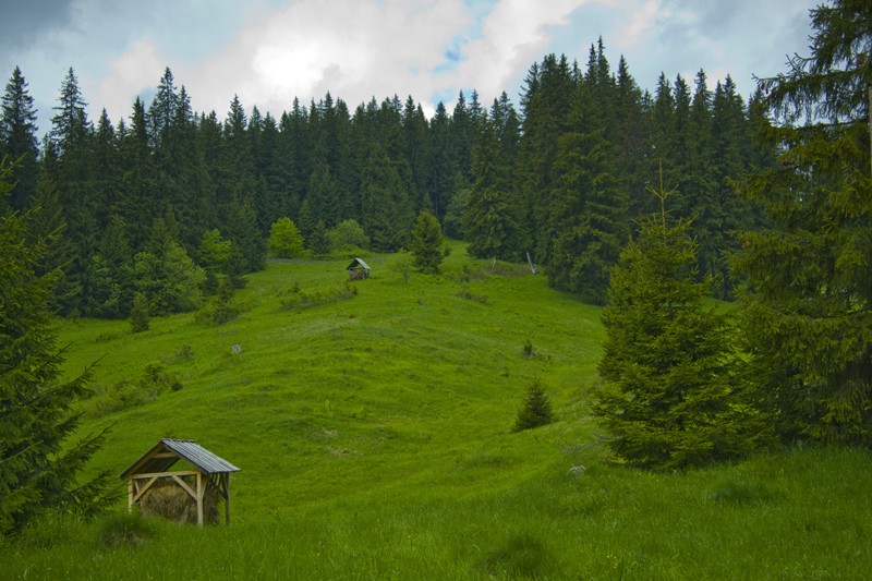 Cheile Bicazului: panoramic point