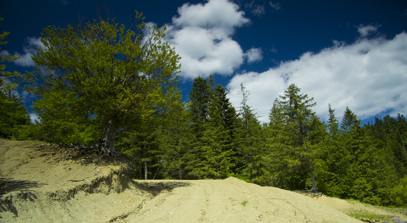 Hiking towards Cuejdel Lake in Neamt County
