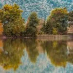 Fall in Neamț County, Part III – fotografia 7