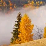 Fall in Neamț County, Part III – fotografia 31