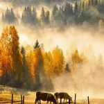 Fall in Neamț County, Part III – fotografia 32
