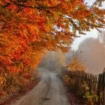 Fall in Neamț County, Part III – fotografia 33