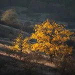 Fall in Neamț County, Part III – fotografia 43