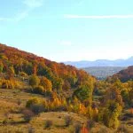 Fall in Neamț County, Part III – fotografia 44