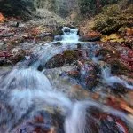 Fall in Neamț County, Part III – fotografia 20