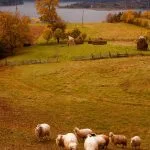 Fall in Neamț County, Part III – fotografia 12
