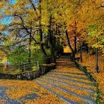 Fall in Neamț County, Part III – fotografia 8