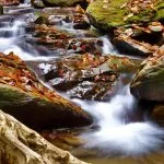 Fall in Neamț County, Part III – fotografia 50