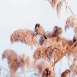 Fall in Neamț County, Part III – fotografia 47