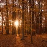 Fall in Neamț County, Part III – fotografia 52