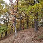 Fall in Neamț County, Part III – fotografia 2
