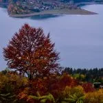 Fall in Neamț County, Part III – fotografia 13